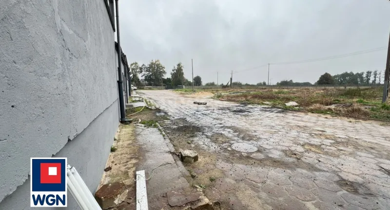 Obiekt komercyjny na wynajem Szulec
